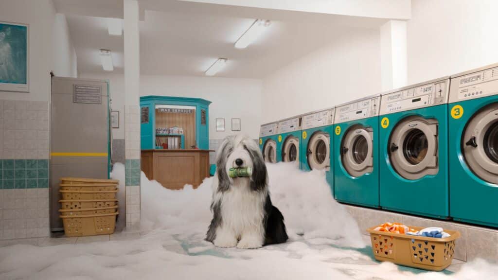 bridgefund-krediet-campagne-12