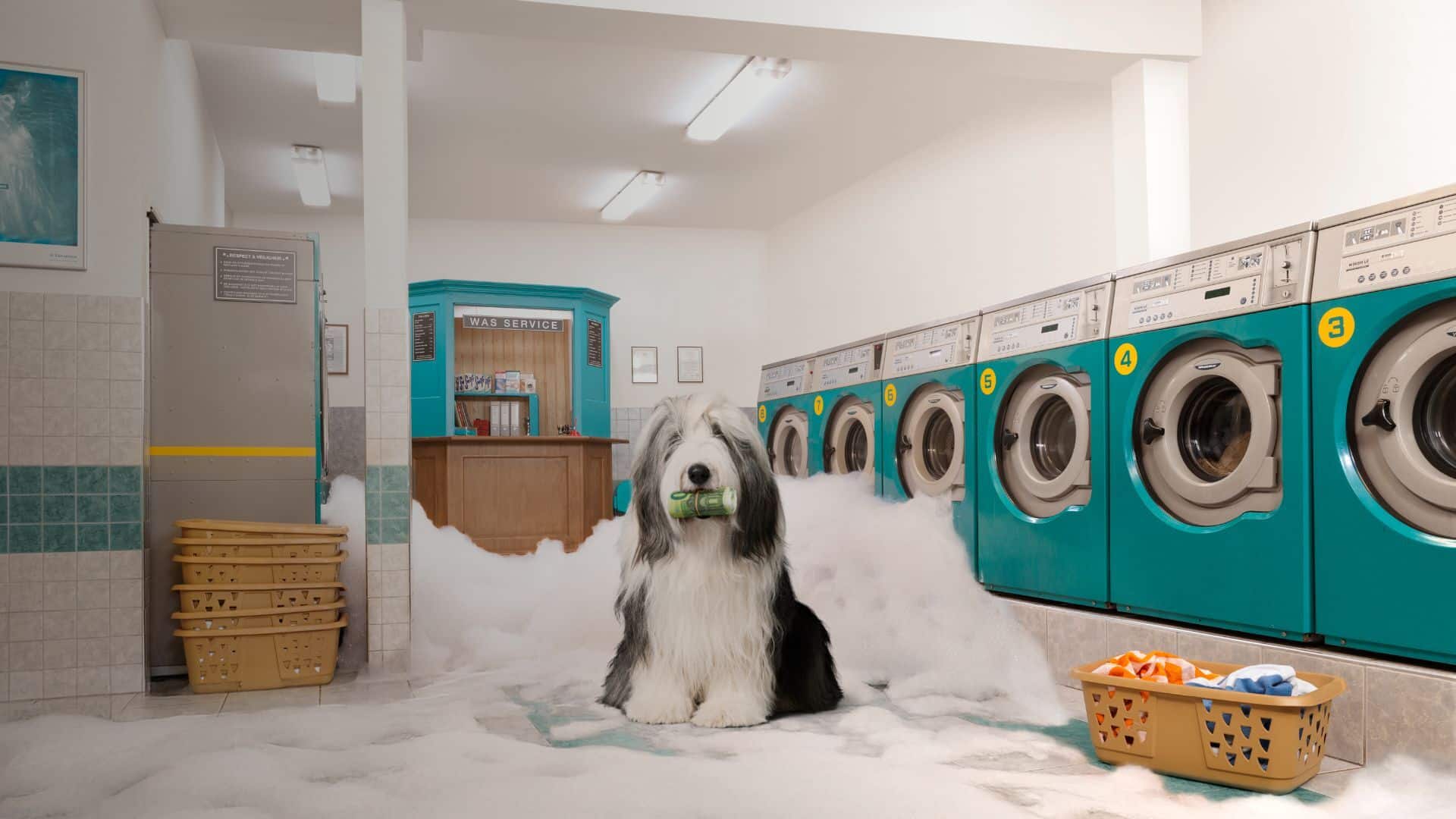 bridgefund-krediet-campagne-12