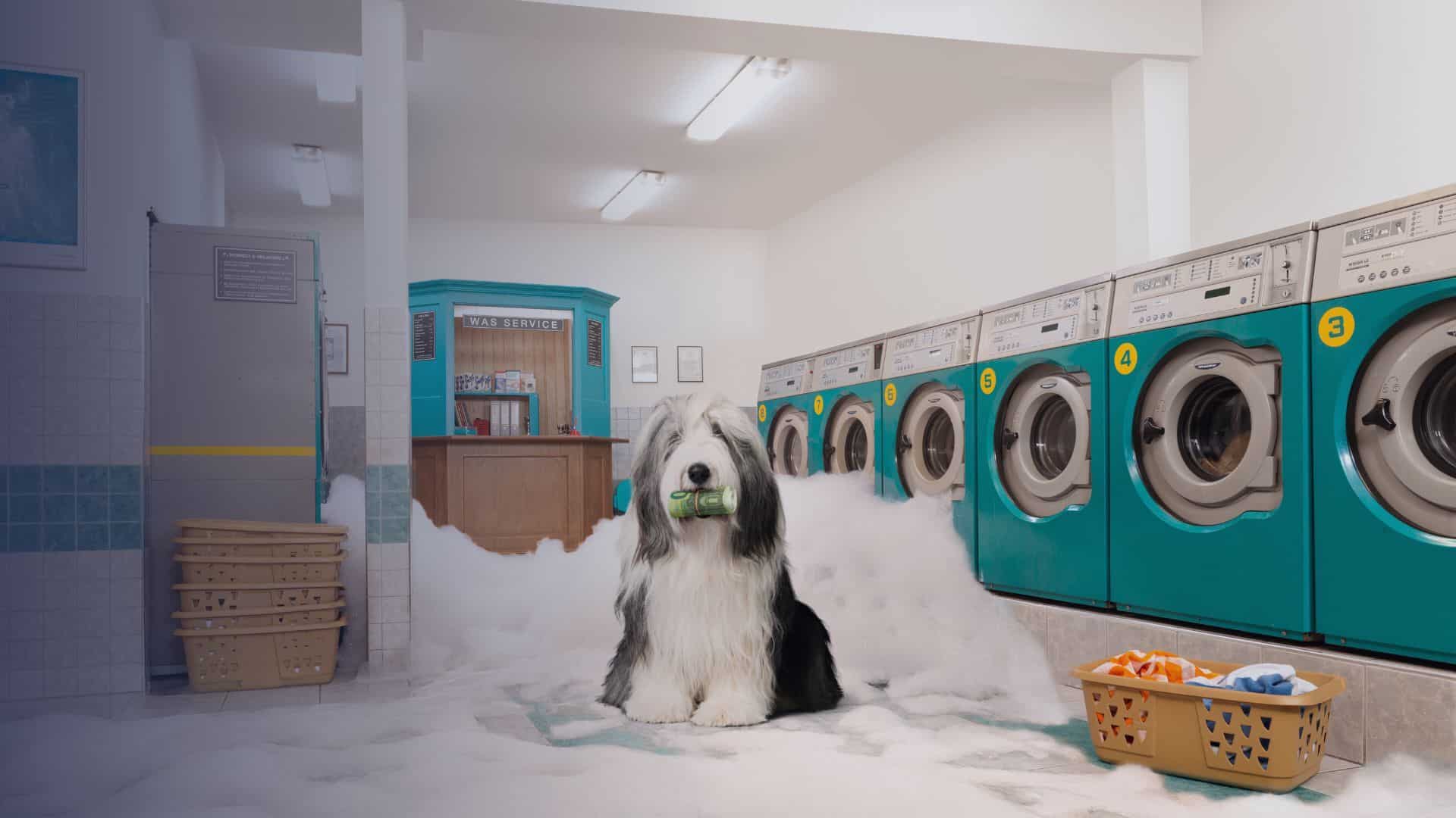 bridgefund-krediet-campagne-11