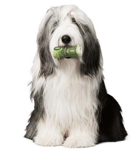 Ted met een rol geld